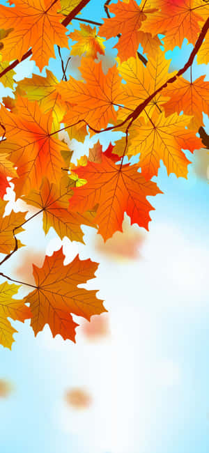 Autumn Leaves On A Branch With Blue Sky Wallpaper