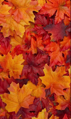 Autumn_ Leaves_ Texture Wallpaper