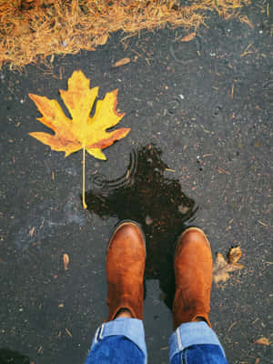 Autumn Leavesand Bootson Wet Pavement Wallpaper