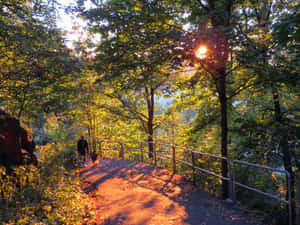 Autumn Morning Sunrise Path.jpg Wallpaper