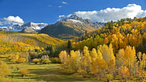 Autumn_ Mountain_ Majesty.jpg Wallpaper