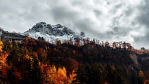 Autumn_ Mountain_ Majesty Wallpaper