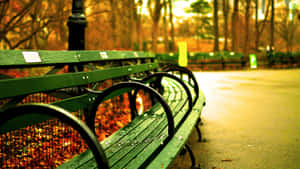 Autumn Park Benches Scene Wallpaper