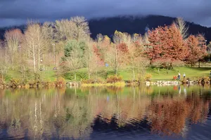 Autumn Park Reflection Coquitlam Wallpaper