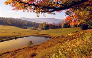 Autumn Pastoral Scene San Bernardino Wallpaper