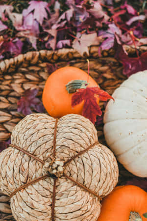 Autumn Pumpkin Decor Still Life Wallpaper