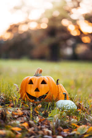 Autumn_ Pumpkin_ Glow.jpg Wallpaper