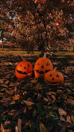Autumn Pumpkin Trio_ Halloween Vibes Wallpaper