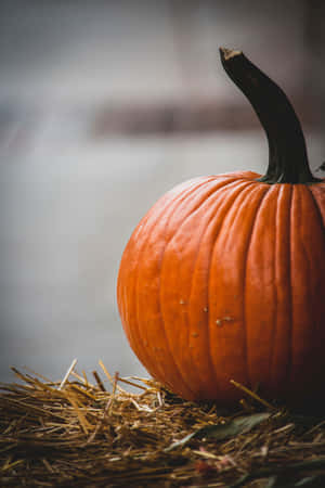 Autumn Pumpkinon Haystack.jpg Wallpaper