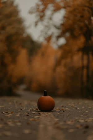 Autumn Pumpkinon Pathway Wallpaper