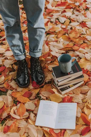 Autumn Reading Session.jpg Wallpaper