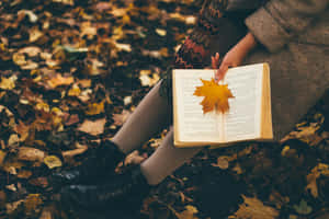 Autumn Readingin Fallen Leaves Wallpaper