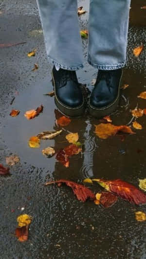 Autumn Reflectionsin Puddle.jpg Wallpaper