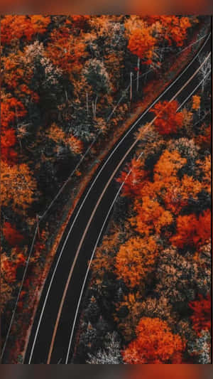 Autumn Road Aerial View Wallpaper