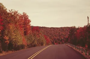Autumn Road Trip Scenery Wallpaper