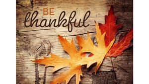 Autumn Season Be Thankful Poster Wallpaper