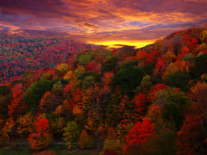 Autumn Splendor: A Stunning Display Of Fall Colors Wallpaper