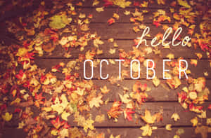 Autumn Splendor: Hello October With Pumpkin Wallpaper