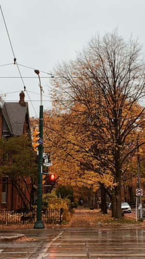 Autumn Street Scenewith Traffic Lights Wallpaper