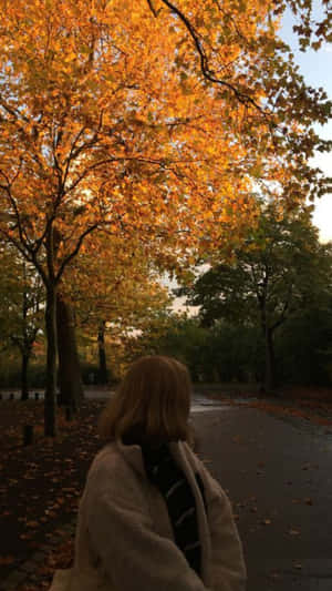 Autumn Stroll Golden Canopy Wallpaper