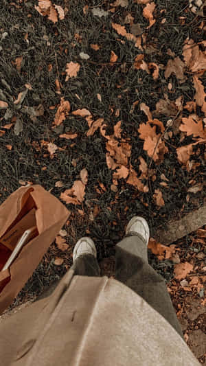 Autumn_ Stroll_ Warm_ Tones.jpg Wallpaper