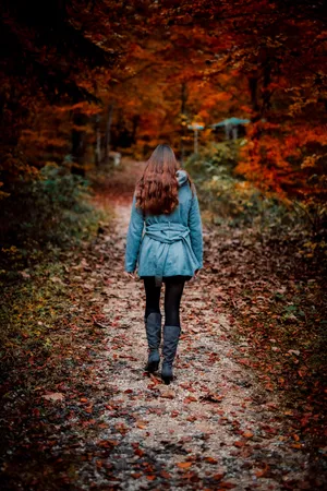 Autumn Strollin Forest.jpg Wallpaper