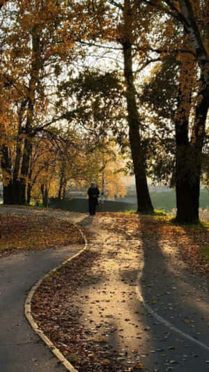 Autumn Strollin Park Sunset Wallpaper