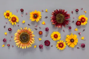 Autumn Sunflowersand Dried Flowers Flatlay Wallpaper