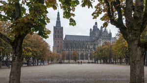 Autumn Viewof Saint Johns Cathedral Den Bosch Wallpaper