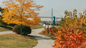 Autumn Walk Near Ambassador Bridge Windsor Wallpaper