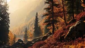 Autumnal Forest Glow.jpg Wallpaper