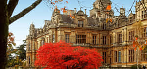 Autumnal Historic Mansion Gloucester U K Wallpaper