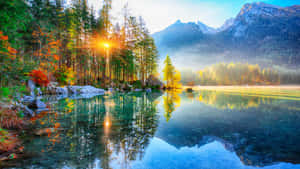 Autumnal_ Lake_ Sunrise Wallpaper