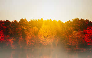 Autumnal Lake Sunrise Glow Wallpaper