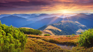 Autumnal_ Mountain_ Sunrise_ Landscape Wallpaper