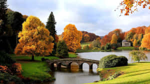 Autumnal Splendor Ripon U K Wallpaper