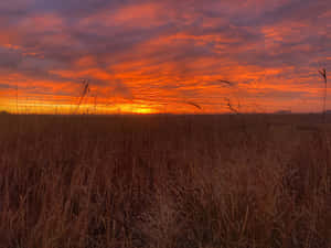 Autumnal Sunrise Amber Sky Wallpaper