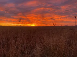 Autumnal Sunrise Amber Sky Wallpaper