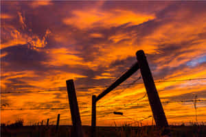 Autumnal Sunrise Fence Silhouette Wallpaper