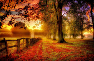 Autumnal Sunrise Pathway.jpg Wallpaper