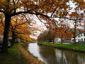 Autumnin Breda Canal Scene Wallpaper