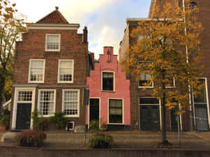 Autumnin Leiden Traditional Dutch Architecture Wallpaper