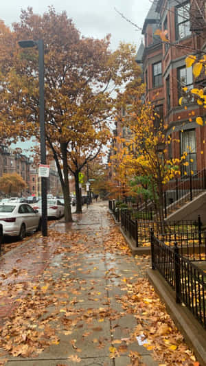 Autumninthe City Sidewalk Wallpaper