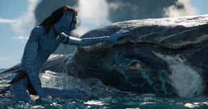 Avatar_ Character_ Touching_ Whale Wallpaper