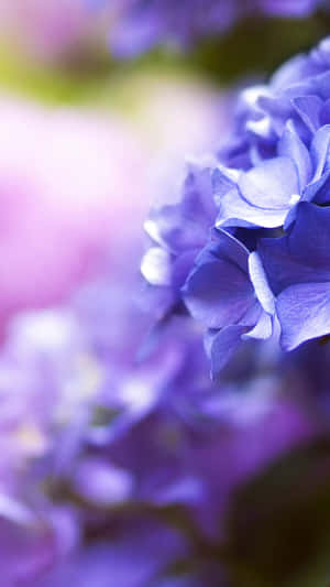 Awe-inspiring Macro Shot Of A Dewdrop On A Delicate Flower Wallpaper