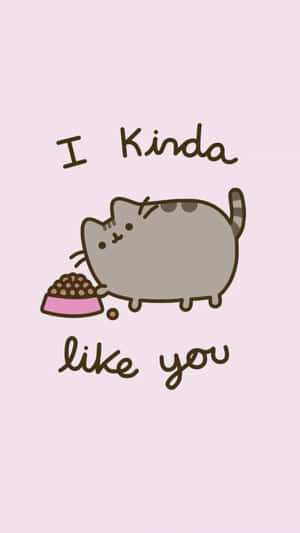 Aww, The Ever So Cute Kawaii Pusheen!