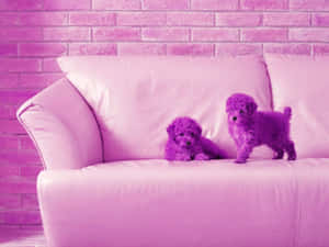 Awwwww So Cute! These Pink Puppies Are Unbelieveably Adorable Wallpaper