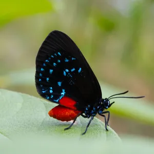 Azure Blue Brings A Sense Of Calm And Serenity Wallpaper