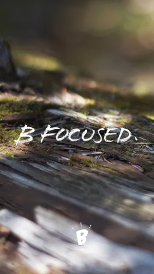 B Focused Wallpaper