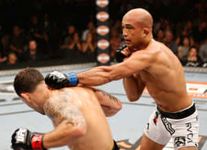 B.j. Penn Punching Opponent Wallpaper